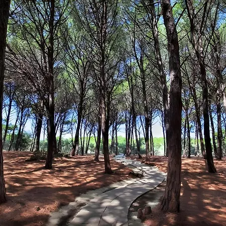 Club Near At Private