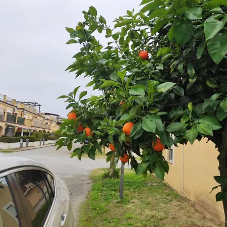 Appartamento Club Near At Private *