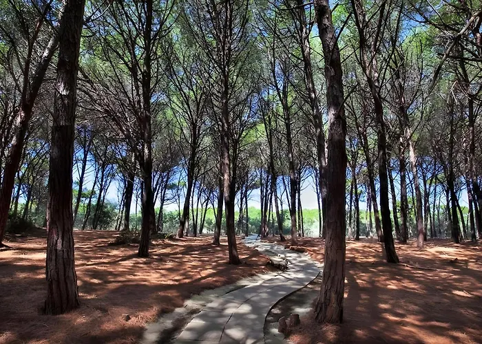 Club Near At Private