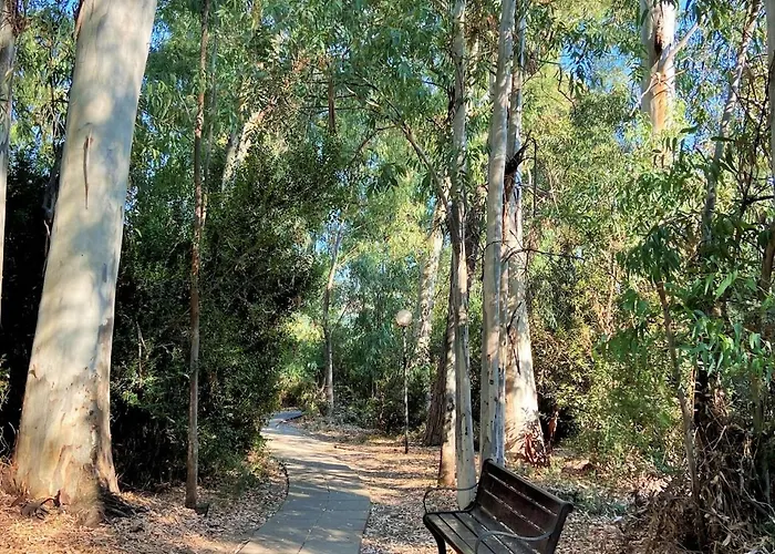 Club Near At Private Apartment